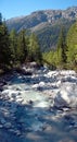 An alpine river made from glacier melt waters flows though a forest located in the alpine region of chamonix in France.