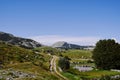 Alpine road among forbs, bushes and greenery Royalty Free Stock Photo