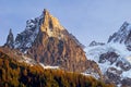 Alpine scene with larches