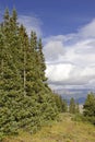 Alpine scene in the Rocky Mountains, USA Royalty Free Stock Photo