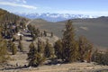 Alpine scene with snow capped mountains Royalty Free Stock Photo