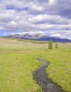 Alpine scene with stream in the Rocky Mountains Royalty Free Stock Photo