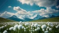 Alpine Serenity: A Panoramic Embrace of Peaks and Petals Royalty Free Stock Photo