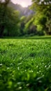 Alpine serenity Sunlight bathes fresh green grass in a meadow