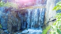 Alpine slide with mini waterfall. Sity park landscape with variaty green plants and fern. Atmospheric botanical scenery in summer Royalty Free Stock Photo