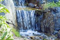 Alpine slide with mini waterfall. Sity park landscape with variaty green plants and fern. Atmospheric botanical scenery in summer Royalty Free Stock Photo