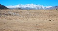 Alpine steppe