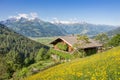 Alpine summer landscape in the alps with mountains and wooden hu