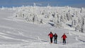 Alpine Touring Skiers in Martinske hole, Mala Fatra, Slovakia Royalty Free Stock Photo