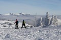 Alpine Touring Skiers in Martinske hole, Mala Fatra, Slovakia Royalty Free Stock Photo