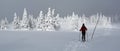 Alpine Touring Skiing in Martinske hole, Mala Fatra, Slovakia