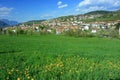 Alpine town and meadow