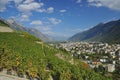 Alpine town and vineyards Royalty Free Stock Photo