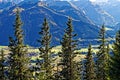 Alpine tree line of mountainous region by view to valley Royalty Free Stock Photo