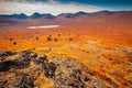 Alpine tundra