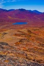 Alpine tundra