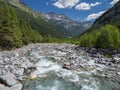 Alpine Val Sissone valley with river, Larch trees and mountains Royalty Free Stock Photo