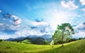 Alpine valley with lone tree beautiful panorama. Fresh air of highland