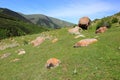 The alpine Valley near the Karakol city, Kyrgyzstan