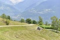 Alpine valley and tractor in meadow Royalty Free Stock Photo