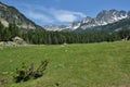 Alpine valley Vall-de-Madriu-Perafita-Claror, Pyrenees
