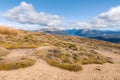 Alpine vegetation growing on arid slopes in Nelson Lakes National Park, New Zealand Royalty Free Stock Photo