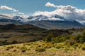 Alpine vegetation in Southern Patagonia Royalty Free Stock Photo