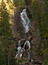 Alpine waterfall in mountain forest Royalty Free Stock Photo