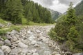 Alpine wild river with rocks and pine trees and mountains in Imst. Royalty Free Stock Photo