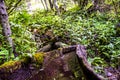 Alpine wooden fountain Royalty Free Stock Photo