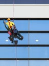 Alpinist worker washing windows of the modern building