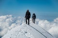 Alpinists on Aiguille de Bionnassay summit - extremely narrow snow ridge above clouds, Mont Blanc massif, France