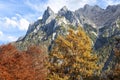 Alps in Autumn