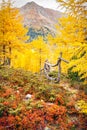 Alps autumn landscape Royalty Free Stock Photo