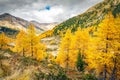 Alps autumn landscape Royalty Free Stock Photo