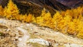 Alps autumn landscape Royalty Free Stock Photo