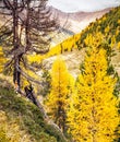 Alps autumn landscape Royalty Free Stock Photo