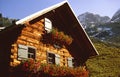 Alps cabin