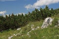 Alps. Dachstein Mountains. Austria Royalty Free Stock Photo