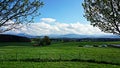 Alps in the distance