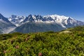 Alps in June. View of the Mont Blanc massif