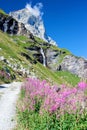 Alps landscape: mountains, flowers, waterfall and a clear blue sky