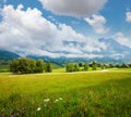 Alps meadow summer view Royalty Free Stock Photo