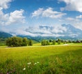 Alps meadow summer view Royalty Free Stock Photo