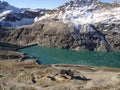 Alps - Moelltal glacier