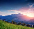 Alps mountain meadow tranquil summer view