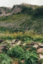 Alps mountain meadow tranquil summer view. Mountain valley village landscape summer. Mountain village view. Village in mountains. Royalty Free Stock Photo