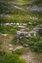 Alps mountain meadow tranquil summer view. Mountain valley village landscape summer. Mountain village view. Village in mountains. Royalty Free Stock Photo