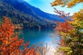 Alpsee lake.Bavaria, Germany Royalty Free Stock Photo