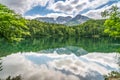 Alpsee near fuessen, bavaria, germany